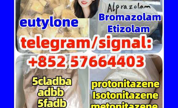 Medium with watermark z5