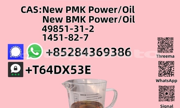 Buy New Acura Legend Brown Car in Chkalov in Sughd