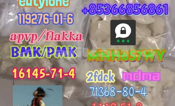 Medium with watermark 1 491