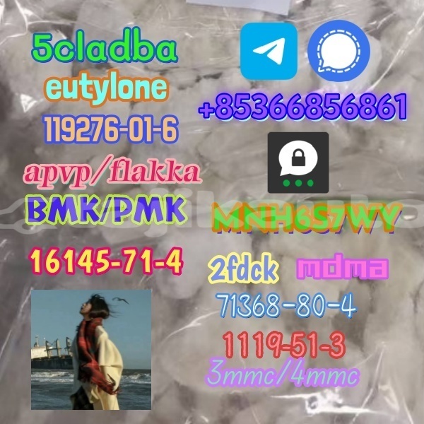 Big with watermark 1 494 