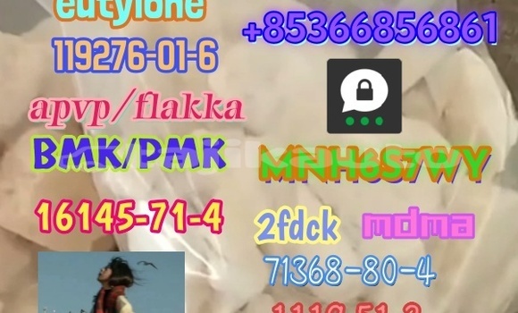 Medium with watermark 1 495 