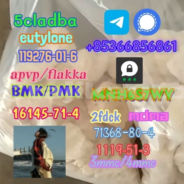 Big with watermark 1 496 