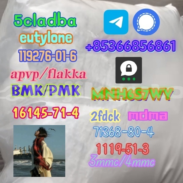 Big with watermark 1 497 