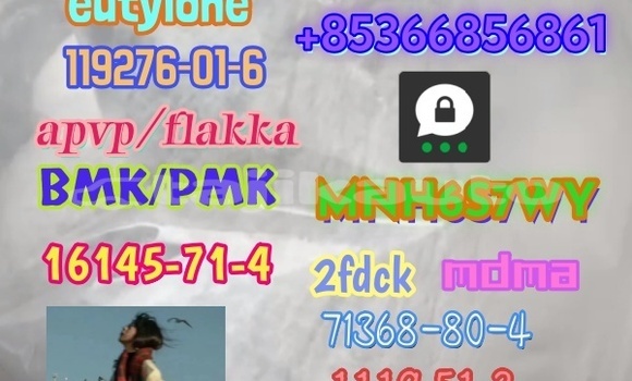 Medium with watermark 1 497 