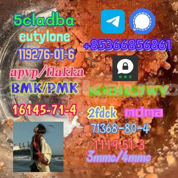 Big with watermark 1 498 