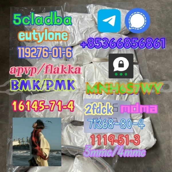 Big with watermark 1 500 