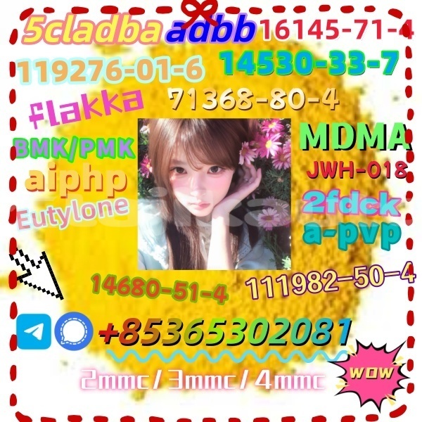 Big with watermark 1 8