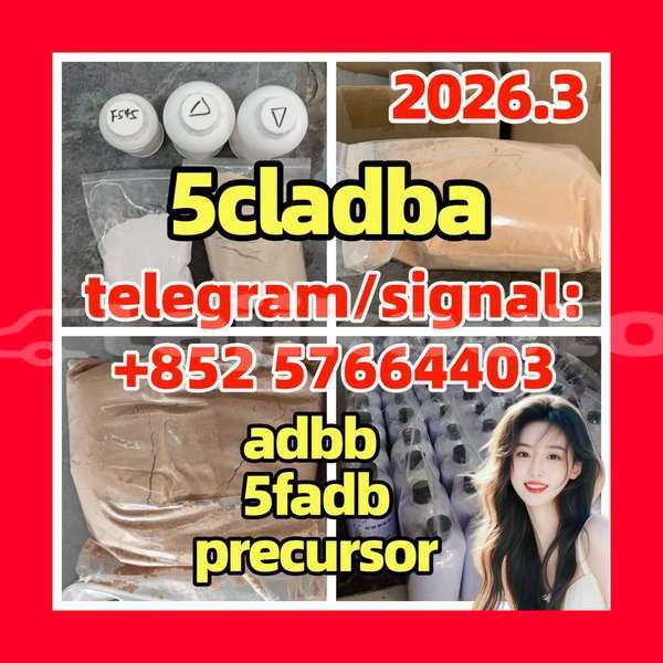 Big with watermark 5c3