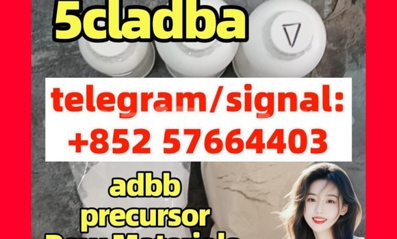 Medium with watermark 5cc3