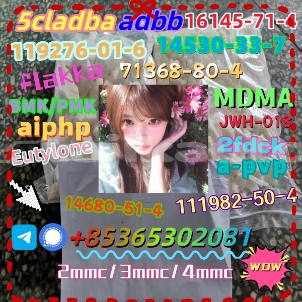 Big with watermark img 4545 220231018 085948