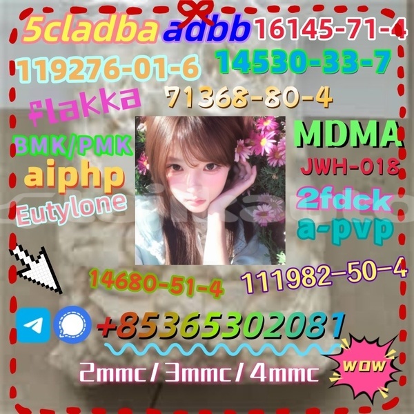 Big with watermark photo 6192803247366981093 x