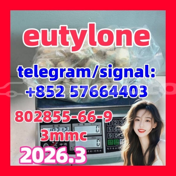 Big with watermark eu3