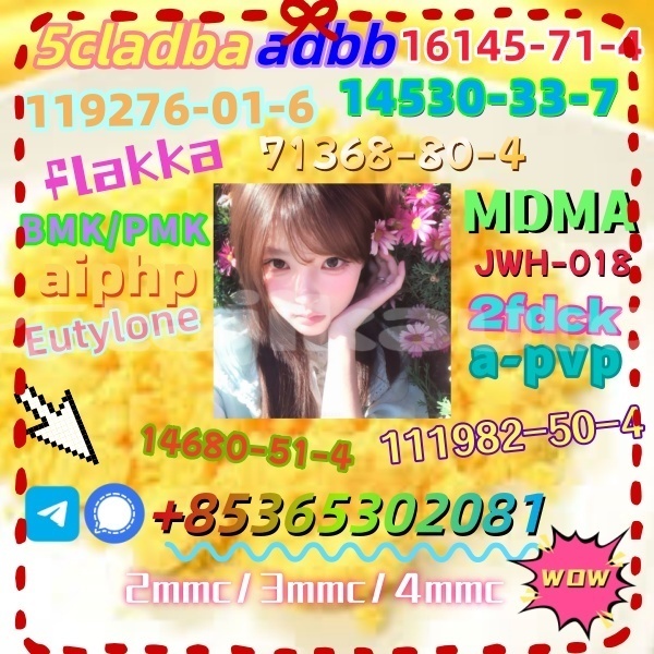 Big with watermark 1 10 