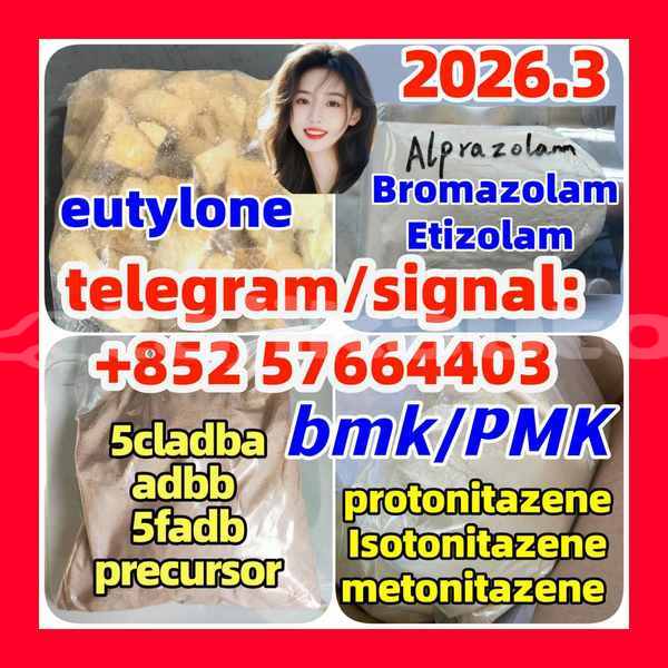 Big with watermark z3