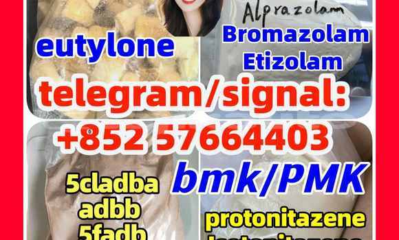 Medium with watermark z3