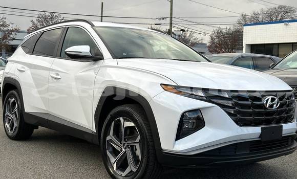 Buy Used Hyundai Tucson White Car in Buston in Sughd