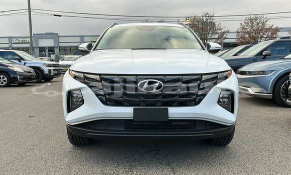 Buy Used Hyundai Tucson White Car in Buston in Sughd Buy Used Hyundai Tucson White Car in Buston in Sughd
