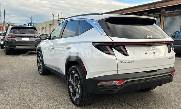 Buy Used Hyundai Tucson White Car in Buston in Sughd Buy Used Hyundai Tucson White Car in Buston in Sughd