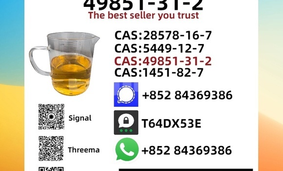 Buy New Bitter Type 3 Brown Car in Dushanbe in Dushanbe