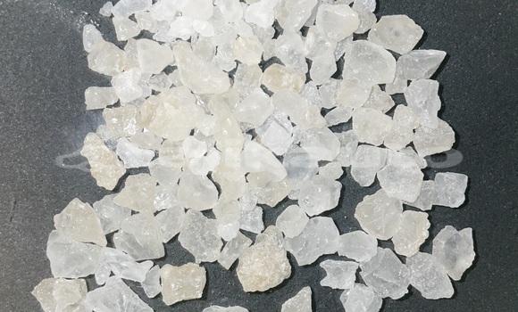 Medium with watermark img 2623