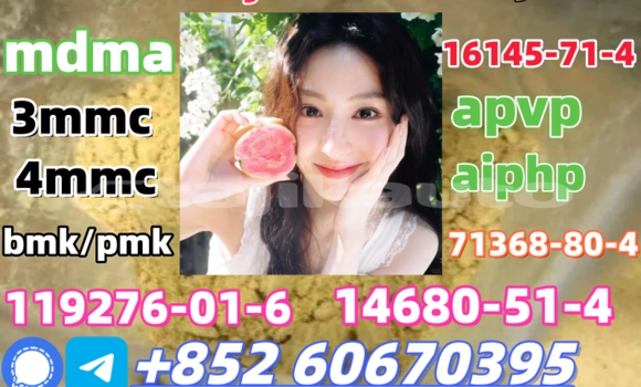 Medium with watermark 0bd1e2392bc73c9a239a11a5ec8bdeb7