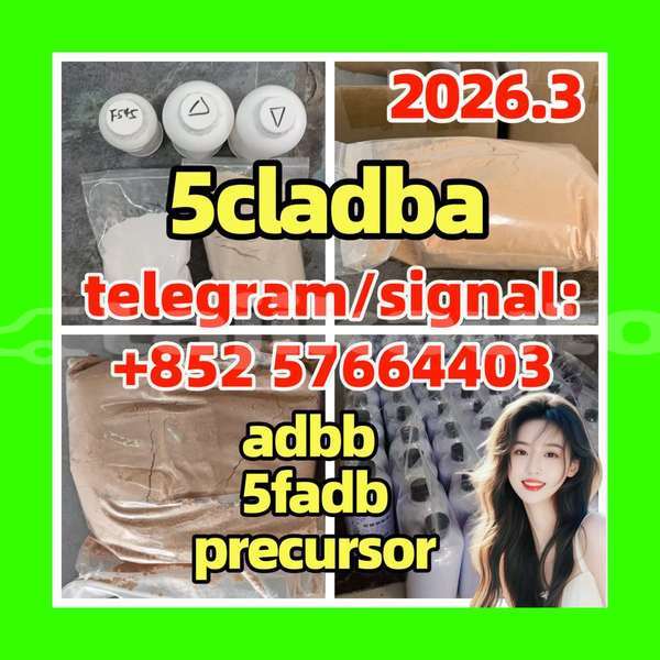 Big with watermark 5c1