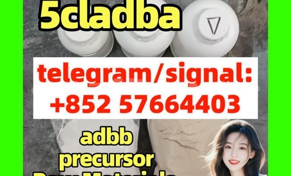 Medium with watermark 5cc1