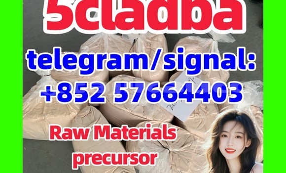 Medium with watermark 551