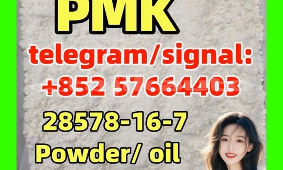 Pmk Powder Cas 28578-16-7