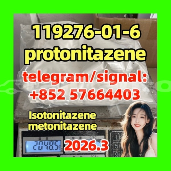 Big with watermark pro1