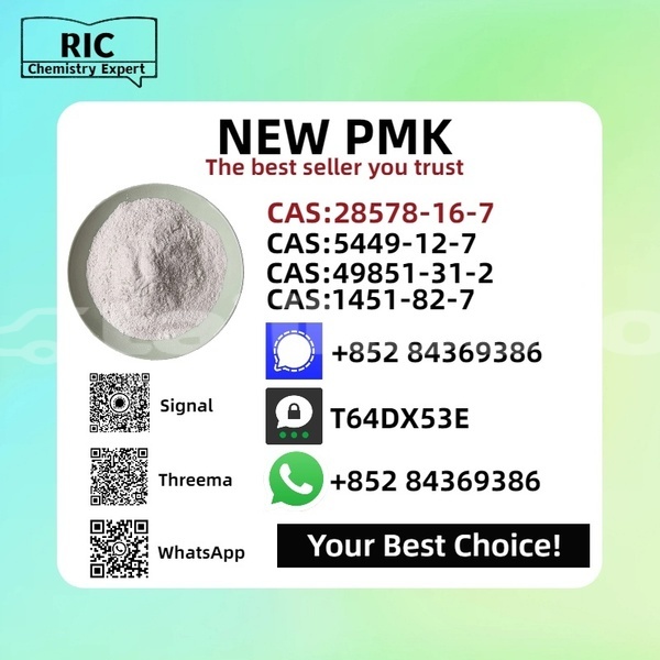 Big with watermark bedford cfs sughd ayni 10994