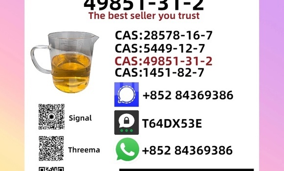 Buy New Aurus Senat Brown Car in Dangara in Khatlon