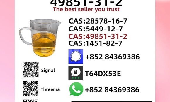 Buy New Bedford CFS Brown Car in Chorku in Sughd