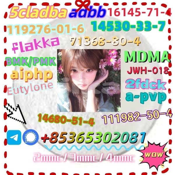 Big with watermark 1 9 