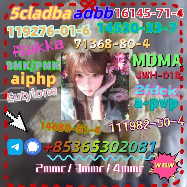 Big with watermark photo 6192803247366981094 x