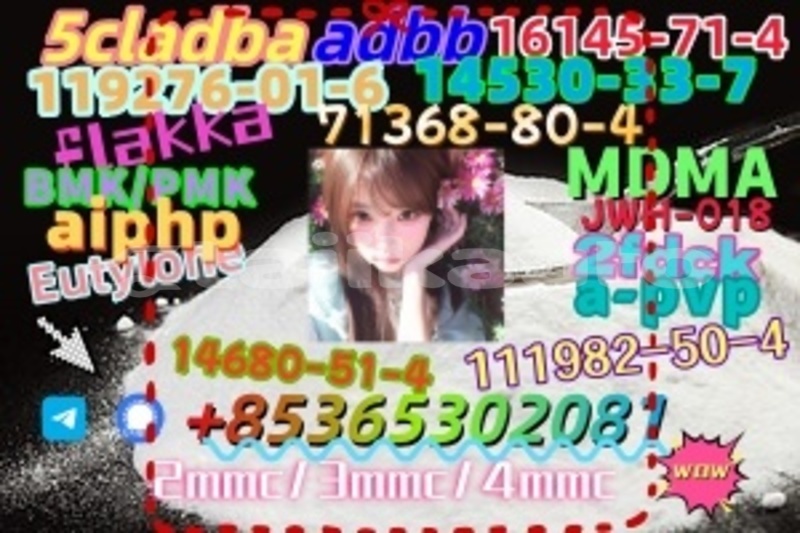 Big with watermark 1694394597195 1 