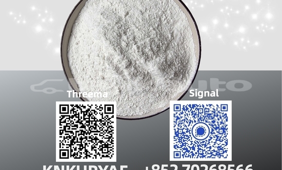 Medium with watermark 13