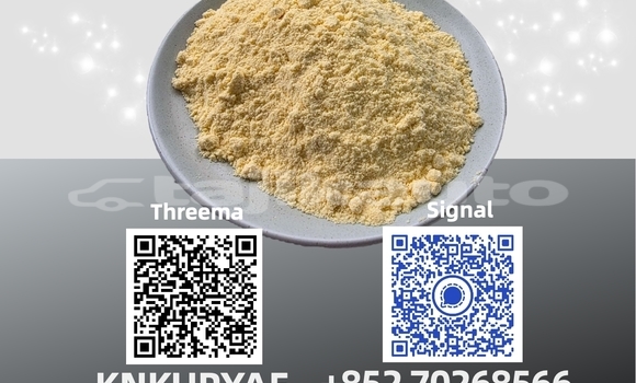 Medium with watermark 15