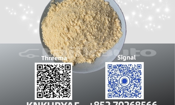 Medium with watermark 16