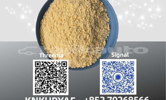 Medium with watermark 17