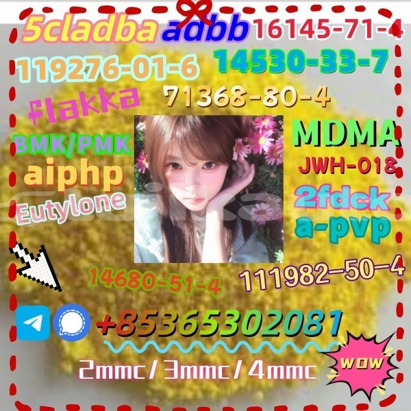 Big with watermark 1 16 %e5%89%af%e6%9c%ac