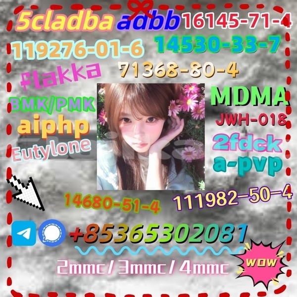 Big with watermark 1 15 