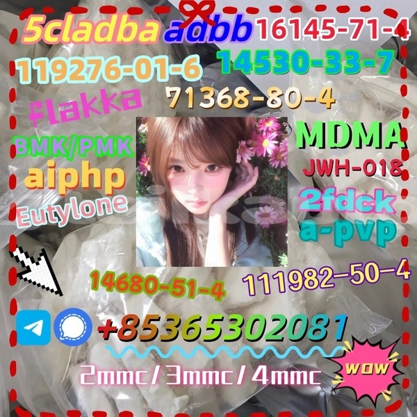 Big with watermark photo 6192803247366981101 x