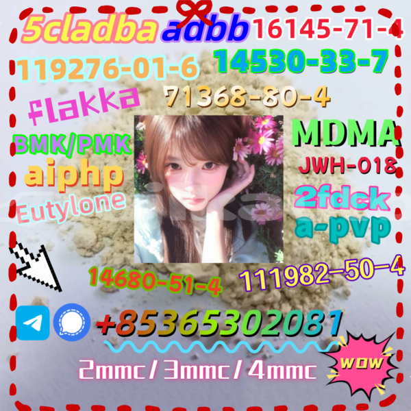 Big with watermark 3