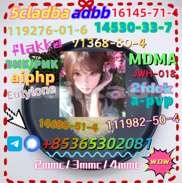 Big with watermark 4