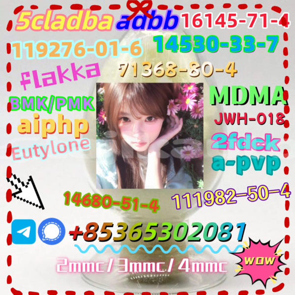 Big with watermark 5