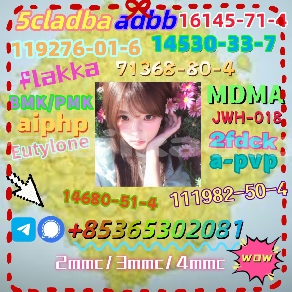 Big with watermark 1 13