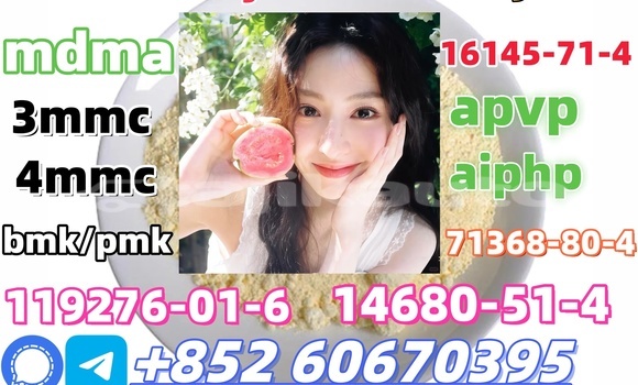 Buy CAS 119276-01-6 in Chorku in Sughd Buy CAS 119276-01-6 in Chorku in Sughd