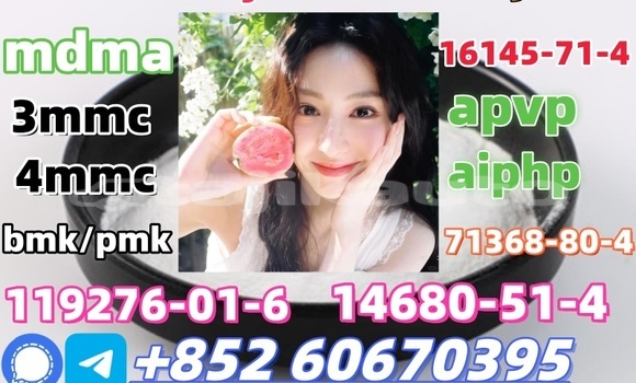 Buy Bmk/Pmk low price in Chkalov in Sughd Buy Bmk/Pmk low price in Chkalov in Sughd