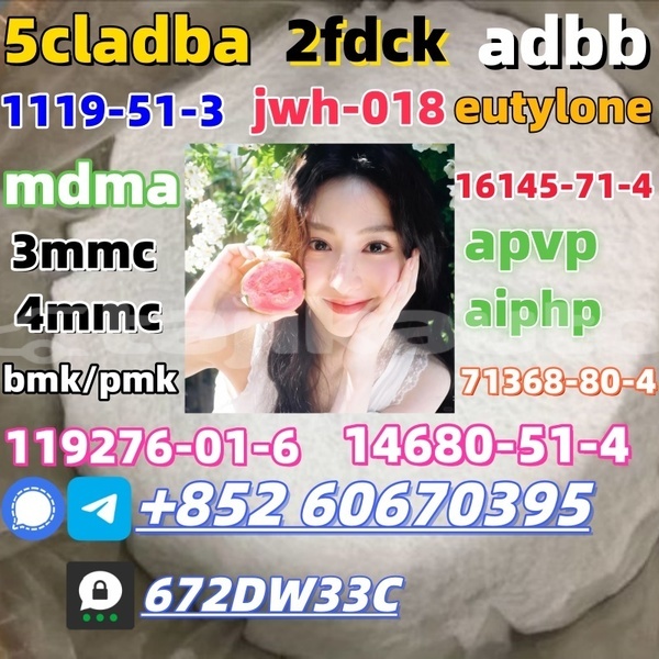 Big with watermark bmk powder 5449 12 7 1660897151 6497698